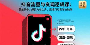 抖音流量与变现逻辑课：覆盖养号、爆款内容生产、直播间运营等全链路-琴书聊项目