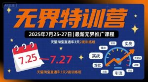 无界特训营2025年7月25-27日,最新无界推广课程,天猫淘宝直通车3天2夜训练班-琴书聊项目