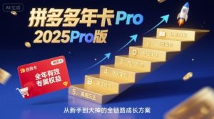 拼多多年卡2025Pro版，五大板块从认知到基础、从推广到活动、从活动到玩法-琴书聊项目