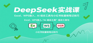 DeepSeek实战课:Excel、WPS接入、AI 组合工具与小红书批量做笔记技巧-琴书聊项目