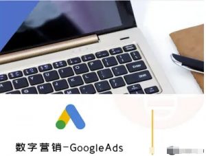数字营销-GoogleAds-外贸跨境电商教程-琴书聊项目