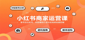 小红书商家运营课,账号定位起号、内容爆款打造与短视频拍摄剪辑-琴书聊项目