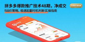 拼多多爆款推广技术48期,净成交与出价策略,极速起量时机判断实操指南-琴书聊项目