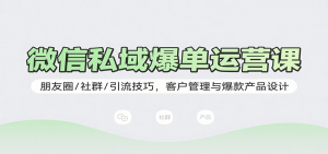 微信私域爆单运营课：朋友圈/社群/引流技巧，客户管理与爆款产品设计-琴书聊项目