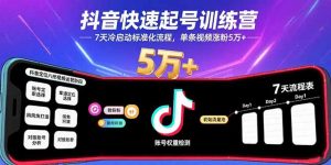 抖音快速起号训练营，7天冷启动标准化流程，单条视频涨粉5万+-琴书聊项目