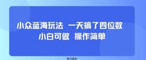 小众蓝海玩法 一天搞了四位数 小白可做 操作简单-琴书聊项目