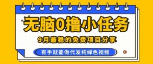 0学费0风险,2025风口项目,无脑免费撸,代发纯绿色视频,一部手机人人可做【揭秘】-琴书聊项目
