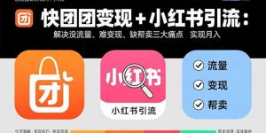 快团团变现+小红书引流：解决没流量、难变现、缺帮卖三大痛点 实现月入3w+-琴书聊项目