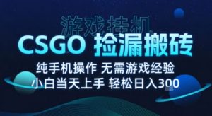 8月最新游戏搬砖，CSGO纯挂G，不需要玩游戏，实现真挂G，月入1W+【揭秘】-琴书聊项目