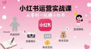 小红书运营实战课,从零到一玩賺小红书-琴书聊项目