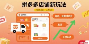 拼多多店铺新玩法，代发供应链上拼玩法-琴书聊项目