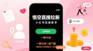 悟空直搜拉新小红书实操教学，一单10米，低门槛，0粉丝小白也能日入多张-琴书聊项目