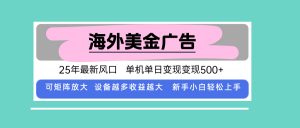 最新海外广告美金,全自动挂机,单机单日500+,可矩阵放大,新手小白轻…-琴书聊项目