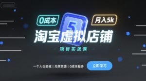 淘宝虚拟店铺项目实战课,一个人也能做,无需货源、0成本起步,月入5k-琴书聊项目