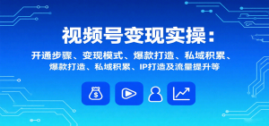 视频号变现实操，含开通步骤、变现模式、爆款打造、私域积累、IP打造及流量提升等-琴书聊项目