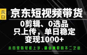 你出账号，我来运营，保底日入1k+，开启躺賺模式【揭秘】-琴书聊项目