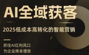 AI全域获客实训营，2025低成本高转化的智能营销，精准找客，高效营销-琴书聊项目