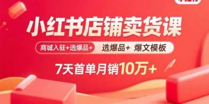 小红书店铺卖货课:商城入驻+选爆品+爆文模板,7天首单月销10万+-琴书聊项目