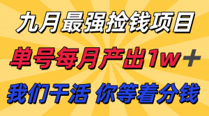 九月最强捡钱项目！ 支付宝分成代运营，我们干活，你分钱！单号月产1w+-琴书聊项目
