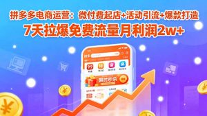 拼多多电商运营:微付费起店+活动引流+爆款打造 7天拉爆免费流量月利润2w+-琴书聊项目