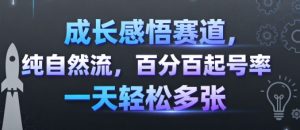 成长感悟赛道，纯自然流，百分百起号率 一天轻松多张-琴书聊项目