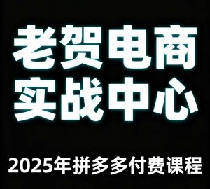 老贺电商2025年拼多多付费课程，用通俗易懂的方法告诉你多多怎么玩-琴书聊项目