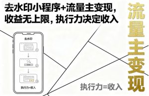 去水印小程序+流量主变现，收益无上限，执行力决定收入-琴书聊项目