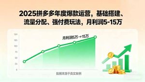 2025拼多多年度爆款运营，基础搭建、流量分配、强付费玩法，月利润5-15万-琴书聊项目