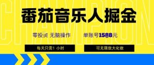 番茄音乐人掘金,单账号最高可撸1k+,可无限矩阵去做,零投入-琴书聊项目