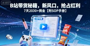 B站带货秘籍，新风口，抢占红利，7天2k+佣金【附SOP手册】-琴书聊项目