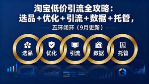 淘宝低价引流全攻略：选品＋优化＋引流＋数据＋托管，五环闭环(9月更新-琴书聊项目