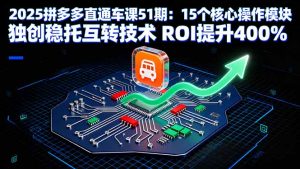 2025拼多多直通车课51期：15个核心操作模块 独创稳托互转技术 ROI提升400%-琴书聊项目