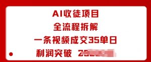 AI收徒项目全流程拆解一条视频成交35单日利润突破1k+-琴书聊项目