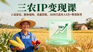 三农IP变现课，人设定位、脚本结构、流量获取，30天打造月入5万+带货账号-琴书聊项目