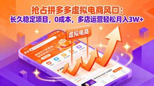 抢占拼多多虚拟电商风口：长久稳定项目，0成本，多店运营轻松月入3W+-琴书聊项目