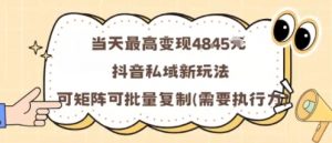 当天最高变现1k+,抖音私域新玩法,可矩阵可批量复制-琴书聊项目