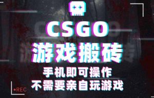 CSGO游戏挂机捡漏，单日扫货500+，年底小高峰上车可吃肉，手机即可操作…-琴书聊项目
