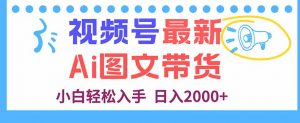 视频号最新AI图文带货，每天几分钟，小白轻松入手，日入2000+-琴书聊项目