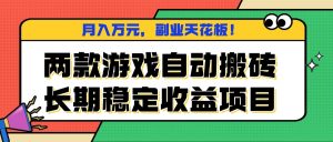 两款游戏自动搬砖,月入万元,长期稳定收益项目,副业天花板!-琴书聊项目
