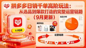 拼多多日销千单高阶玩法：从选品到爆款打造的完整运营链路(9月更新-琴书聊项目