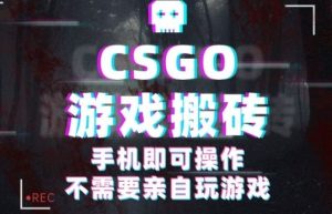 CSGO游戏挂G捡漏，单日扫货5张+，年底小高峰上车可吃肉，手机即可操作，兼职副业创业网创【揭秘】-琴书聊项目