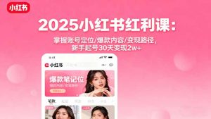 2025小红书红利课：掌握账号定位/爆款内容/变现路径，新手起号30天变现2w+-琴书聊项目