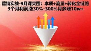 营销实战-9月突围课:本质+流量+转化全链路 3个月利润涨30%-300%月多赚10w+-琴书聊项目