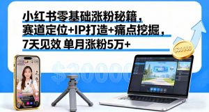 小红书零基础涨粉秘籍，赛道定位+IP打造+痛点挖掘，7天见效 单月涨粉5万+-琴书聊项目