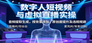 数字人短视频与虚拟直播实操，音频提取生成，背景添加，原创度提升及违规规避-琴书聊项目