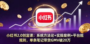 小红书2.0创富课：系统方法论+实操案例+平台规则，单条笔记带货GMV破20万-琴书聊项目