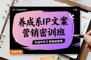 养成系IP文案营销密训班，实战中学习真高级营销-琴书聊项目