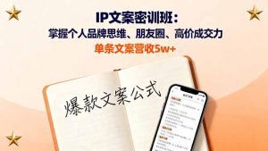 IP文案密训班：掌握个人品牌思维、朋友圈、高价成交力，单条文案营收5w+-琴书聊项目