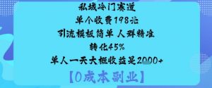 私域冷门赛道:单个收费198米引流模板简单人群精准转化45%单人一天大概收益是1k+-琴书聊项目