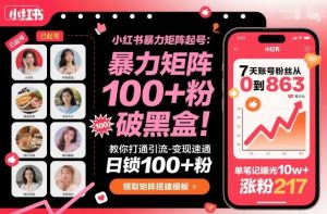 小红书暴力矩阵起号，教你打通引流-变现速通，日锁100+粉，破流量黑盒-琴书聊项目